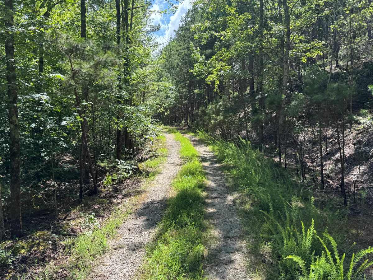 Shirley Creek Spur photo 4