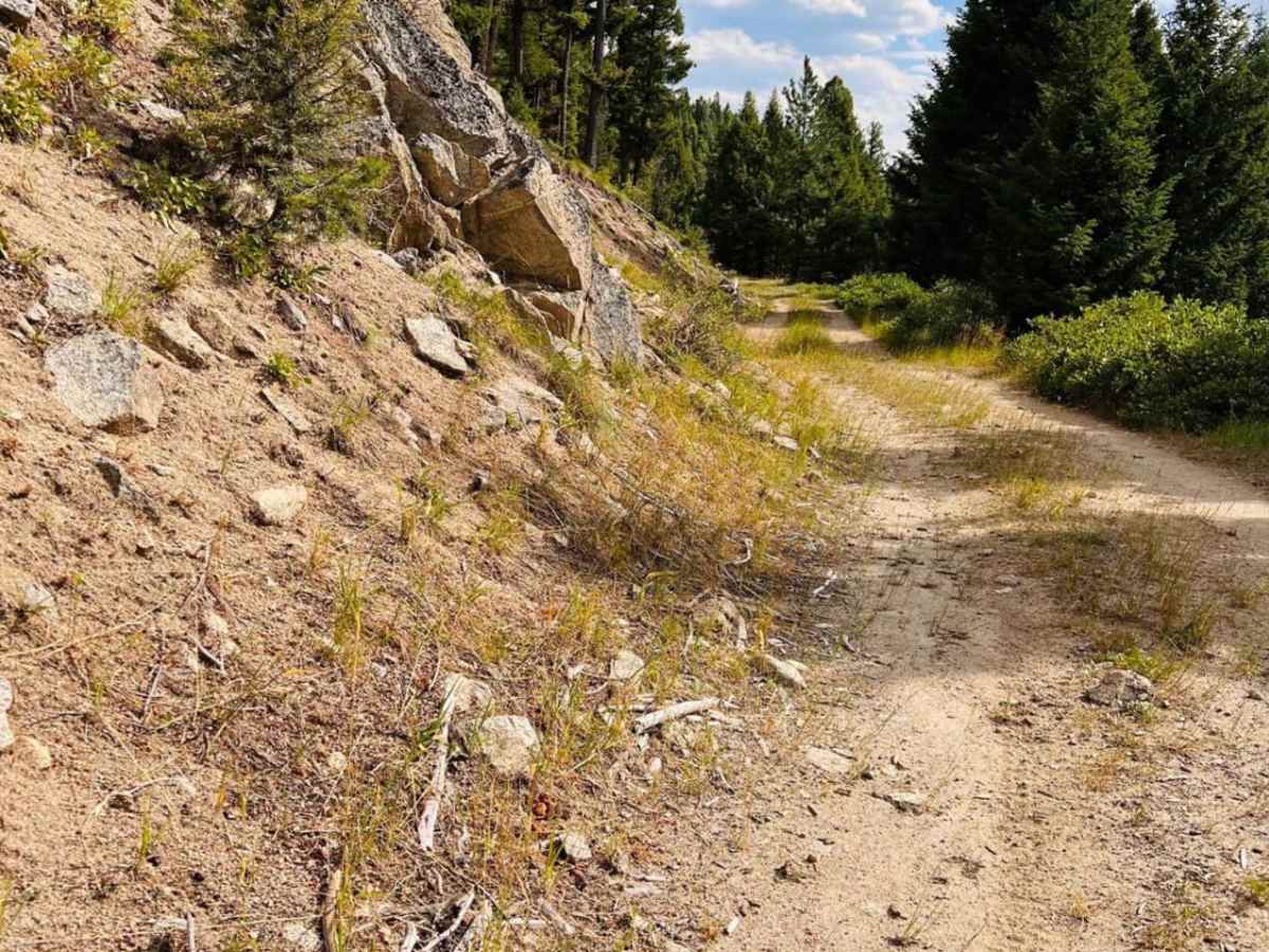 Moose Bush Ridge photo 6