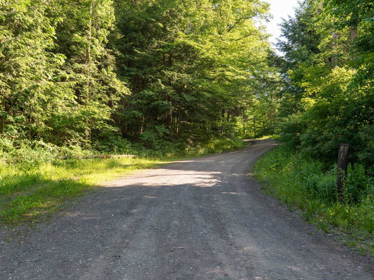 Truck Trail 4 photo 6
