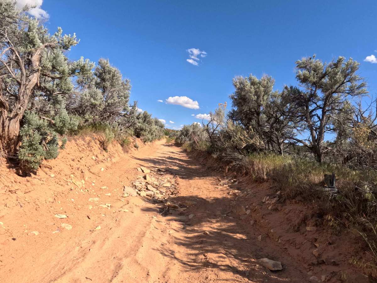 BLM 43 trail photo