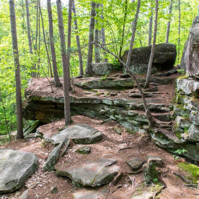 Near Wolf Creek Falls Near Wolf Creek Falls