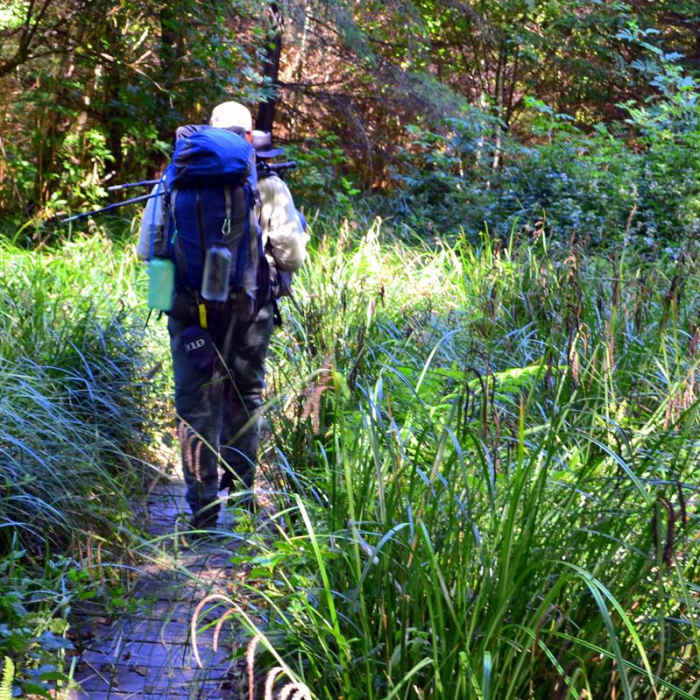 Near Harris Ranch Trail