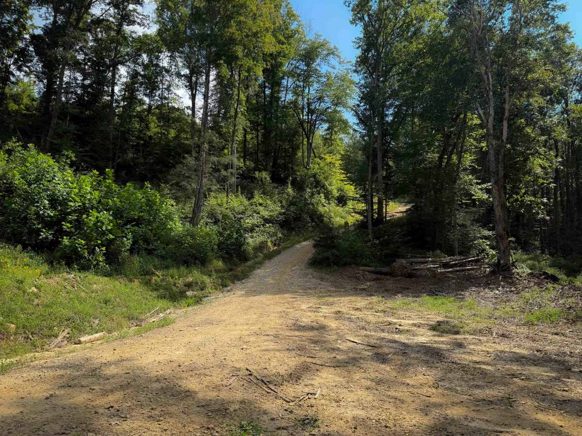 Shack Creek Trail trail photo