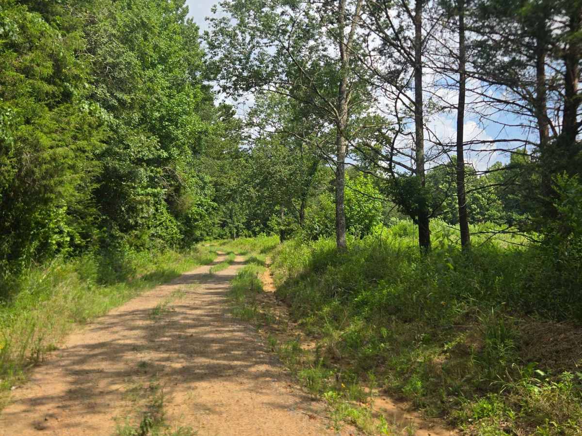 River Field Loop photo 5