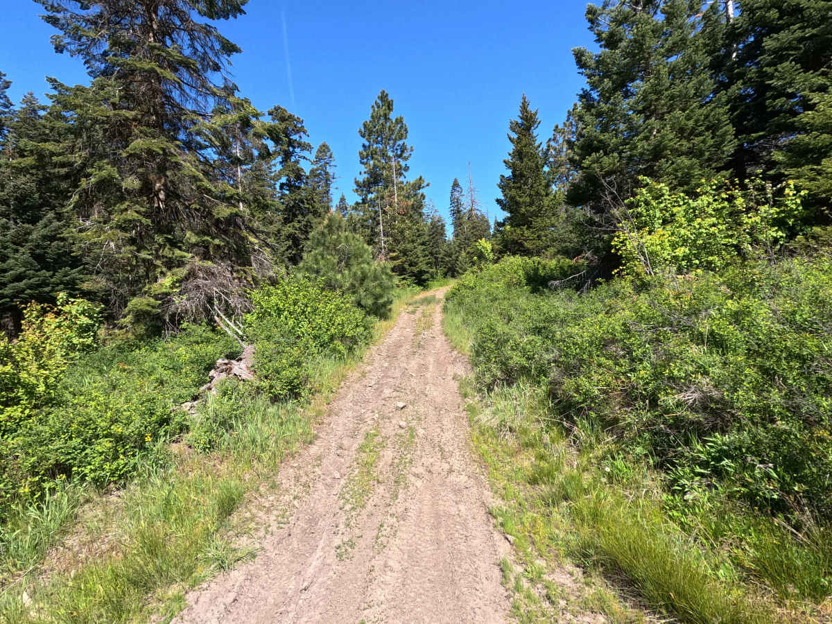 Rock Pit Road - Trail 215 photo 4