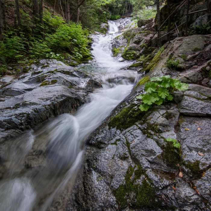 Near Brandy Creek Falls