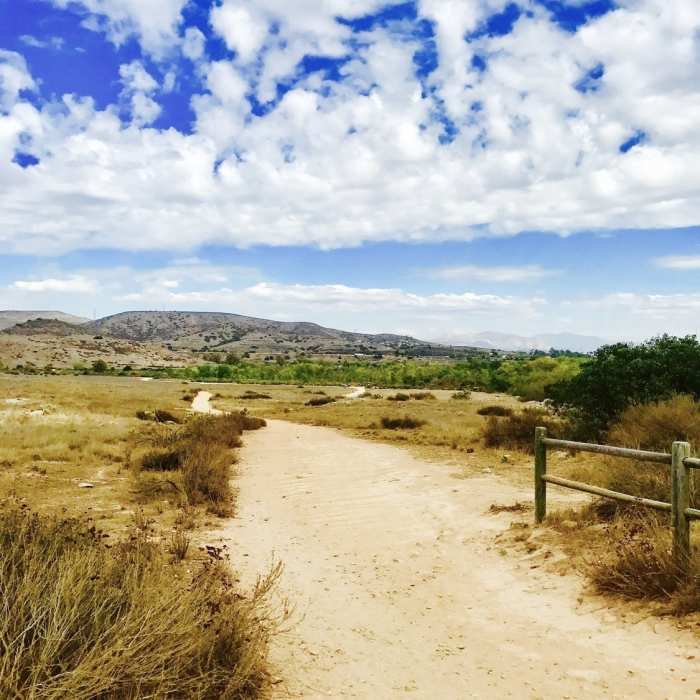 Near Grasslands Loop Trail