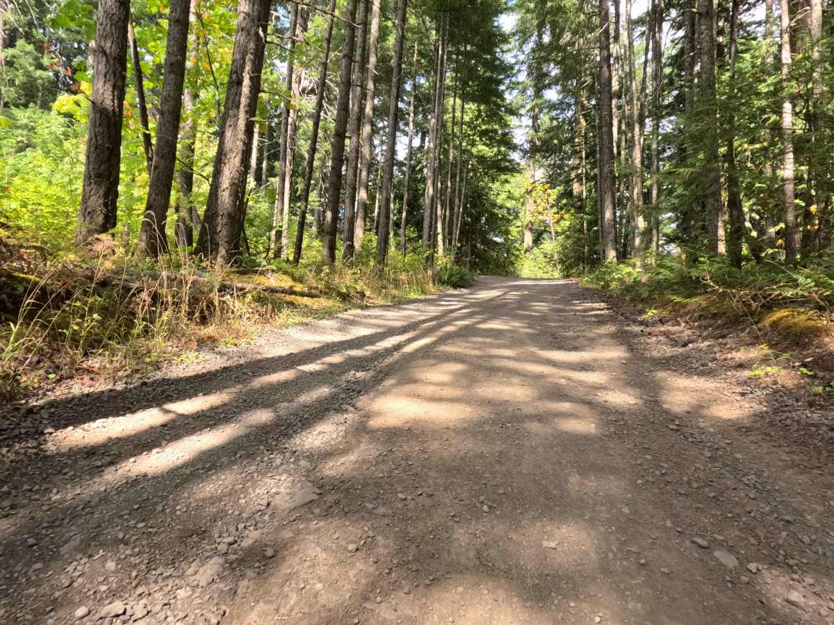 Carson Creek Road photo 3