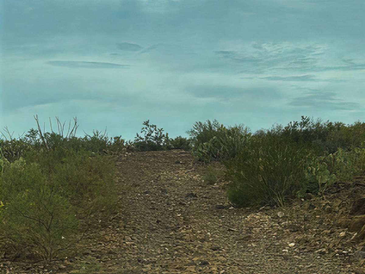 PE1056 trail photo