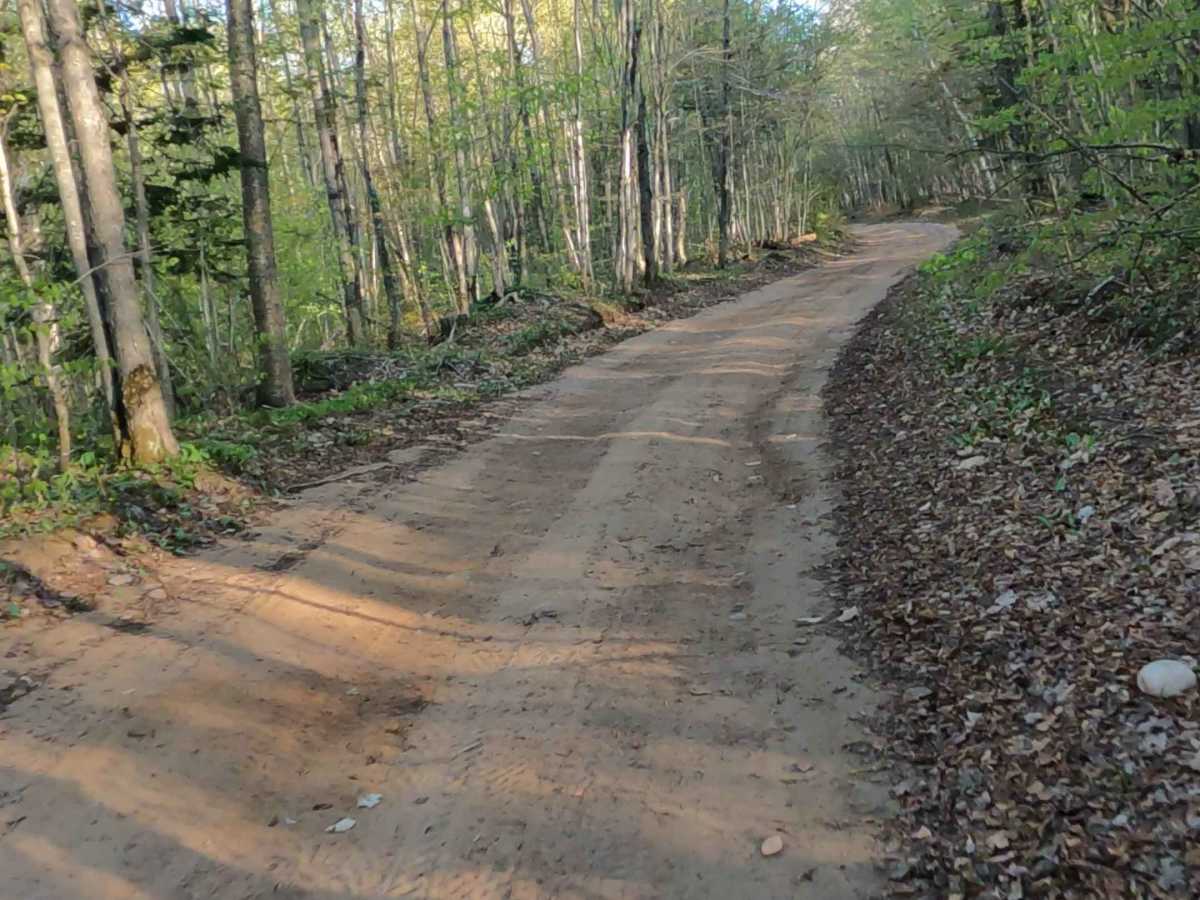 West Bear Lake Road trail photo
