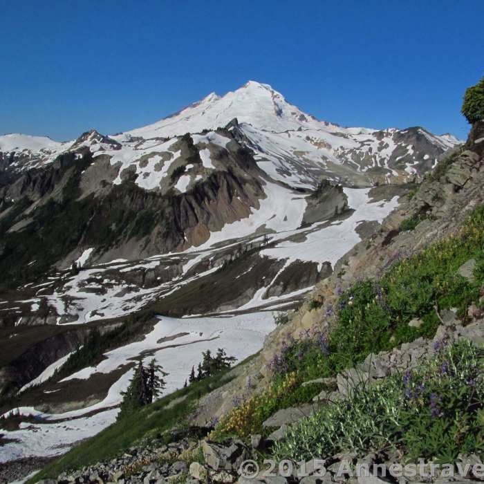 Mt. Baker looks gorgeous from the Table Mountain Trail. Near Artist Ridge Trail
