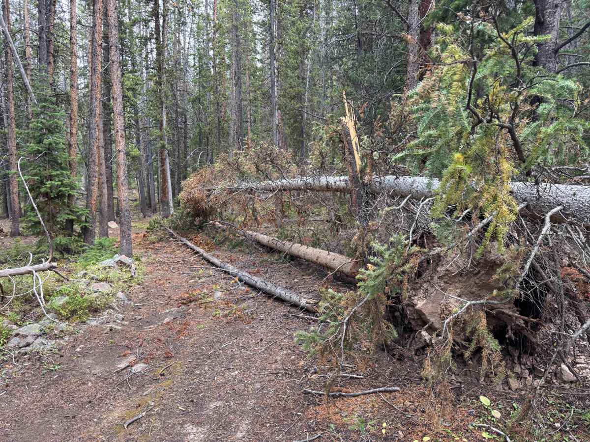 Jones Gulch Way Road photo 6