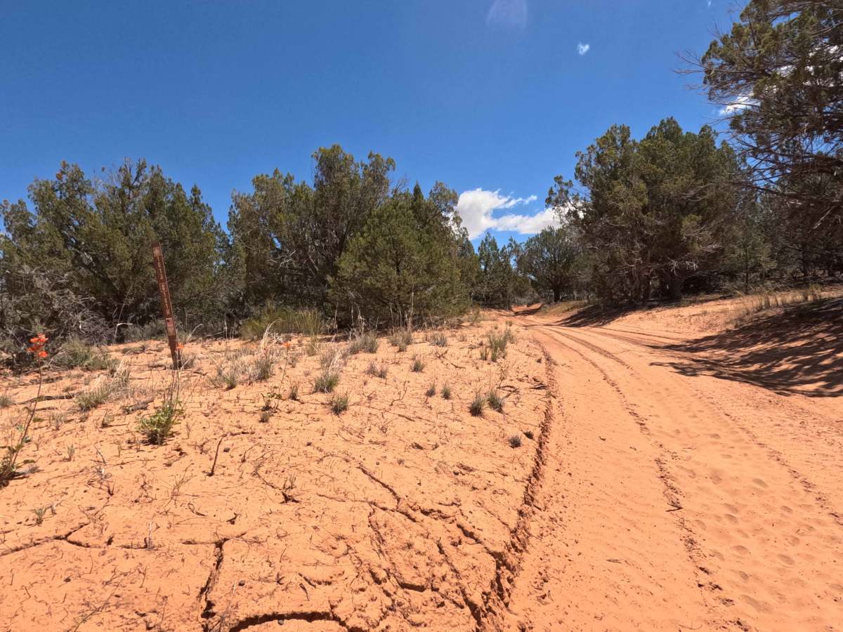BLM 101J trail photo