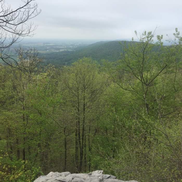 Near Appalachian Trail: South Mountain
