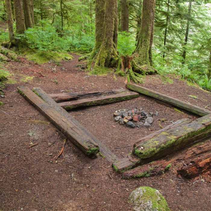Near Boulder River Trail