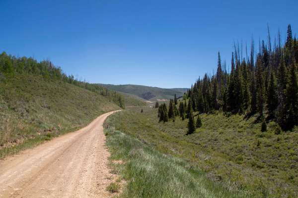 Buffalo Canyon - FS 70335