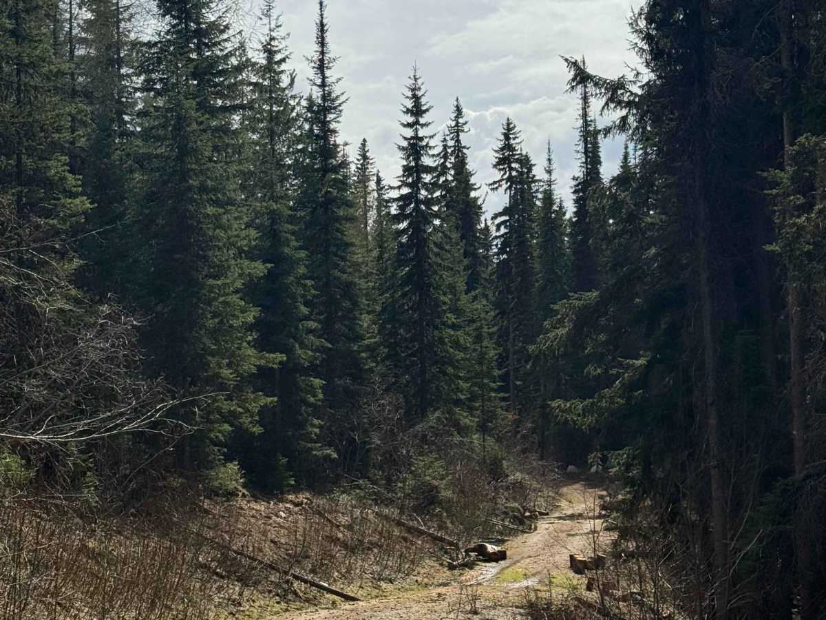 FS 6100-227 photo 3