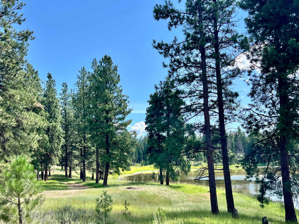 Mud Lake Loop trail photo