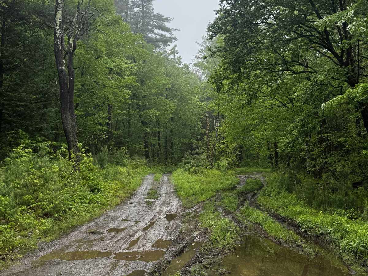 Amos Case Road - North Section photo 6