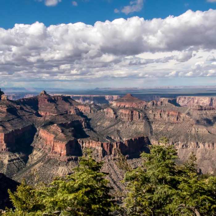 Near Cape Final Trail