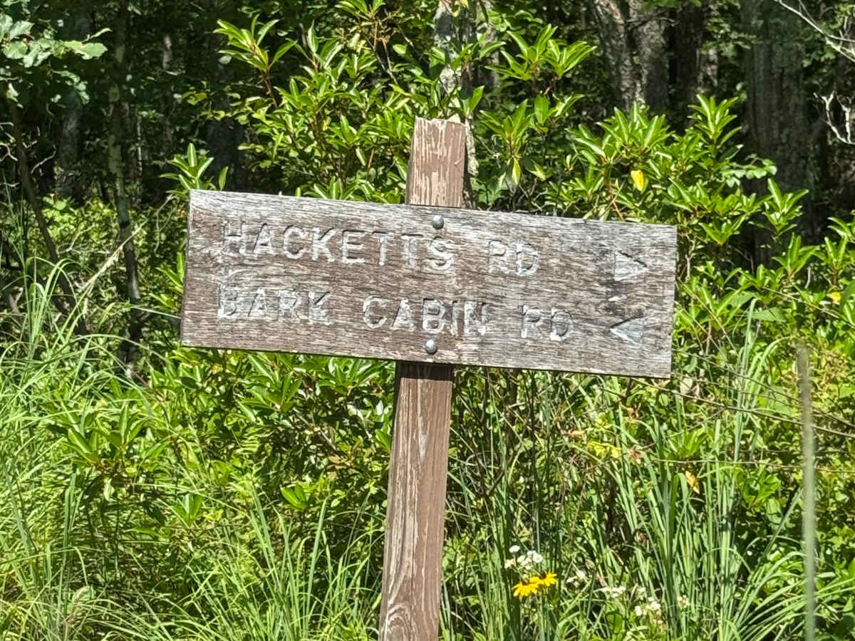 Hackett Road photo 6