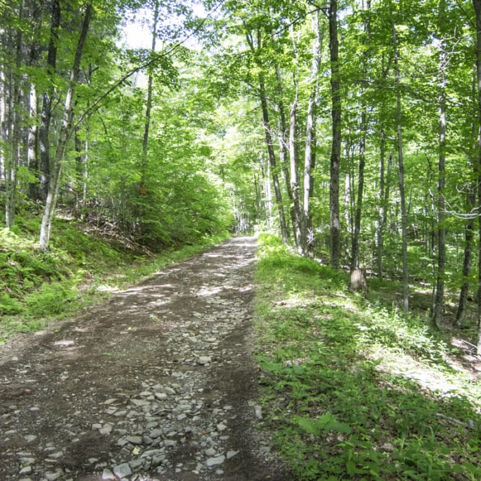 Near Bearpen Mountain