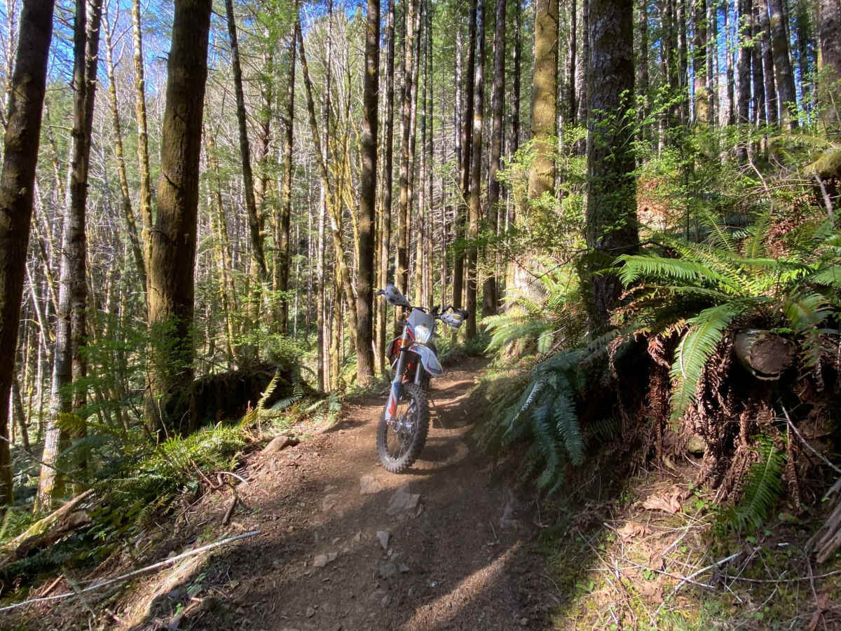 #58 Stage RD trail photo