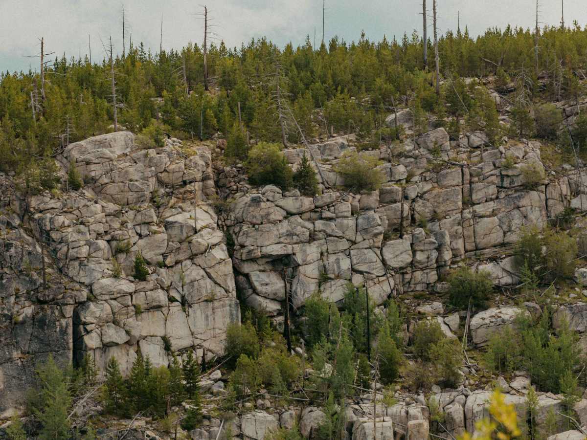 Powerline Arrow Trail photo 4