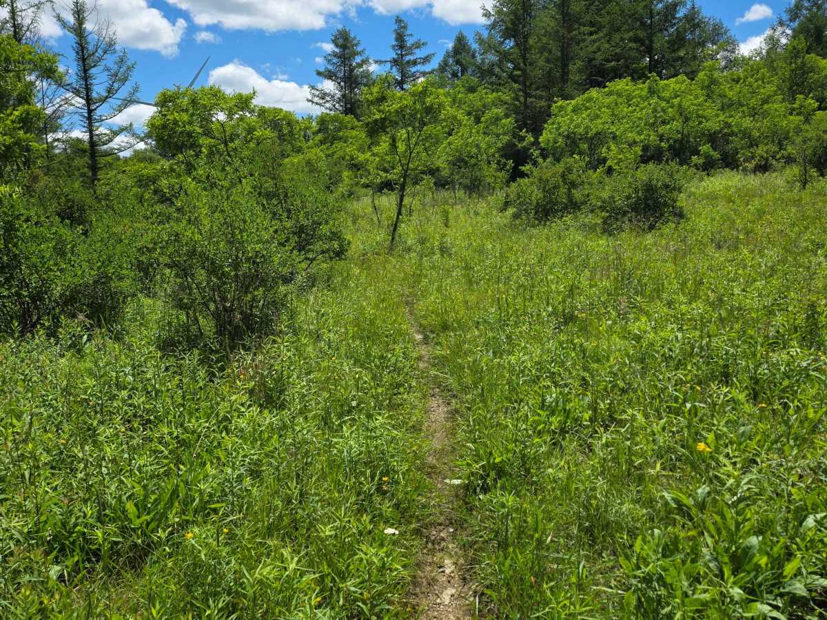 Single Track PP photo 4