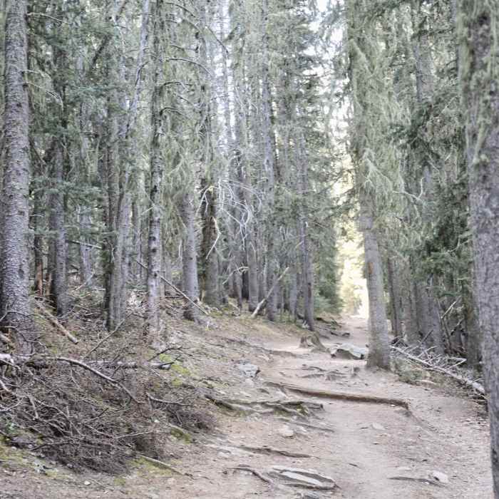 Near Nambe Lake Trail