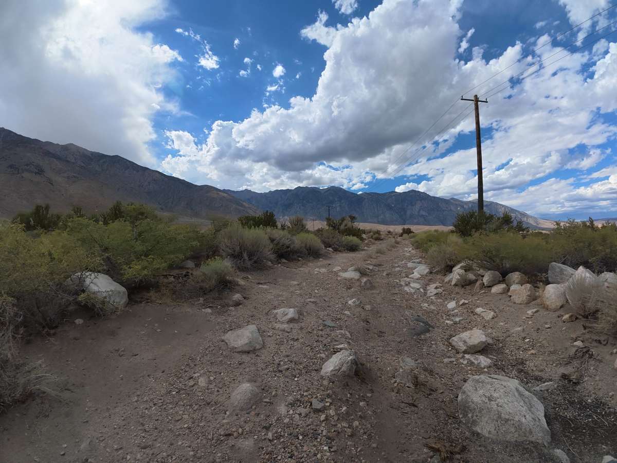 Elderberry Road photo 4