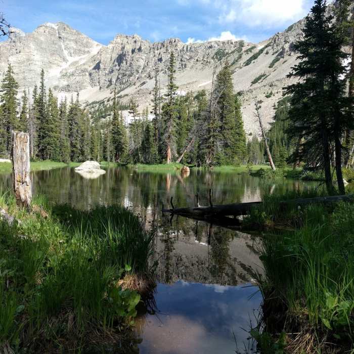 Near Saint Vrain Glacier Trail