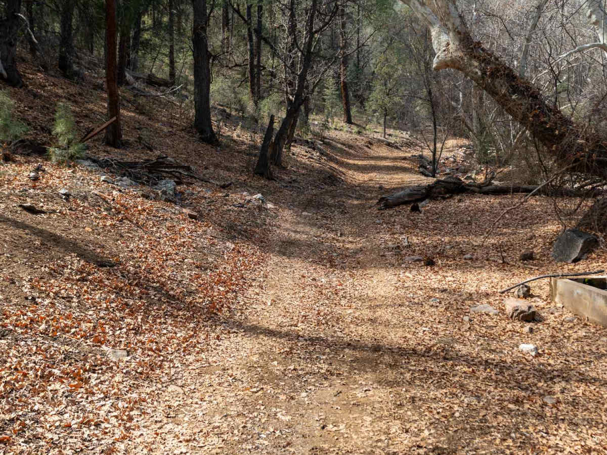 Cow Flat Road - FS 329 photo 3