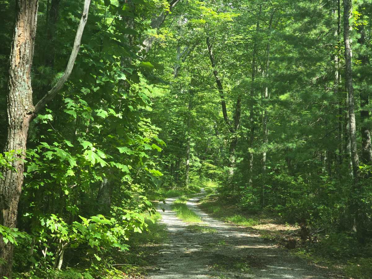 Ridge Road photo 3