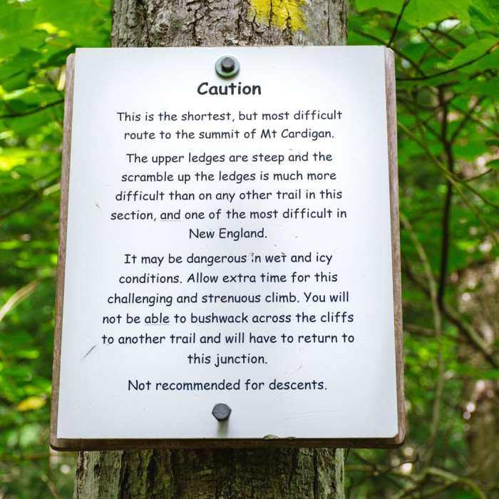 Near Mount Cardigan via the Holt Trail Loop