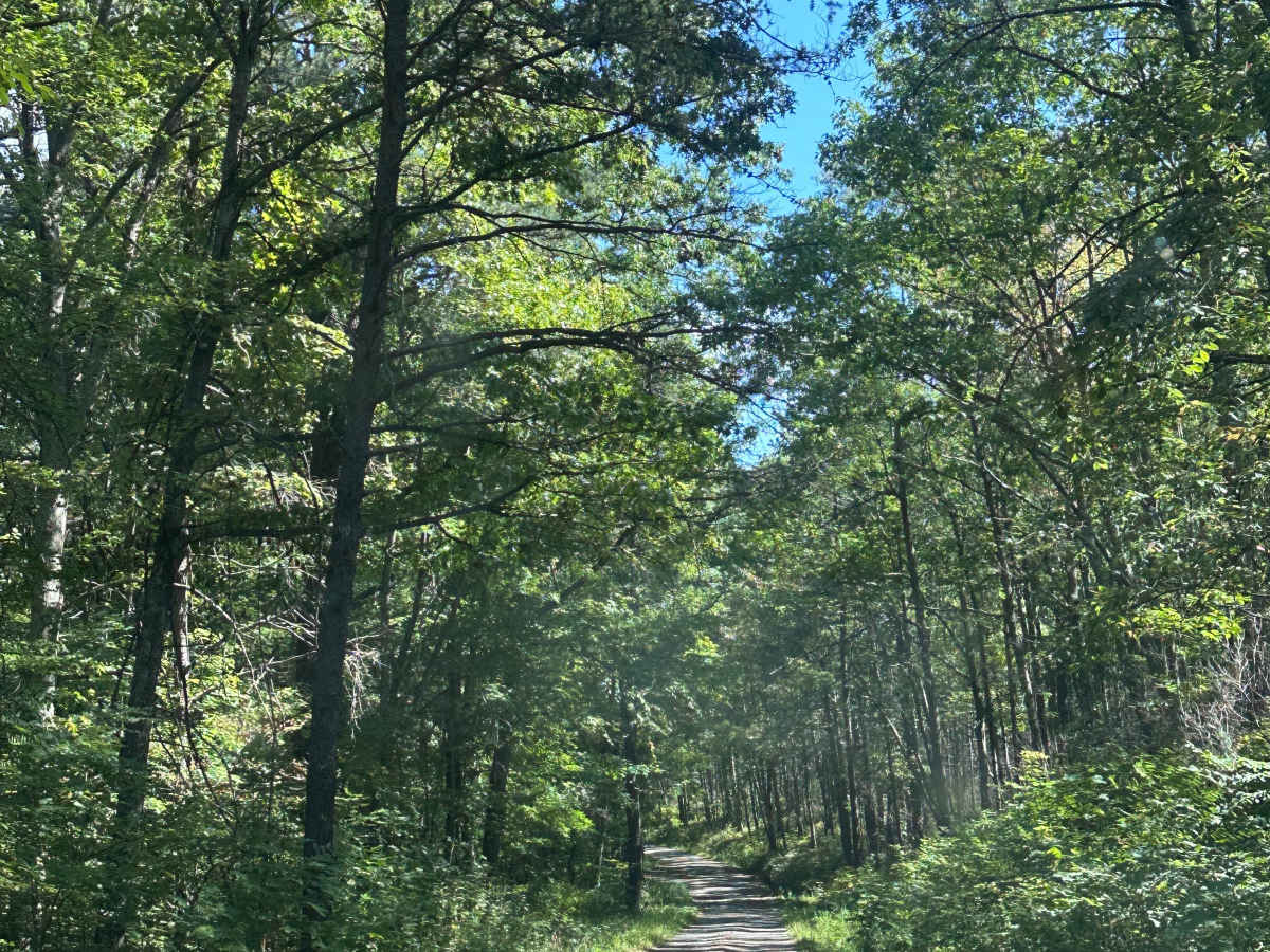Dolly Anne South trail photo