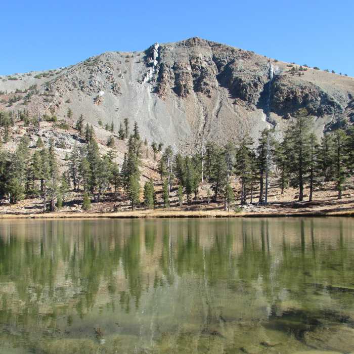 Near Mount Eddy Out-and-Back