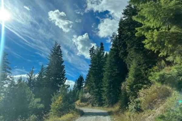 Johnson Lake Road