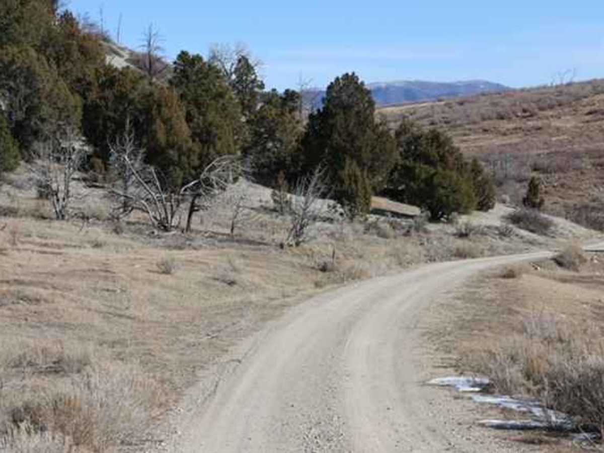 Dairy Fork - FS 50006 photo 4