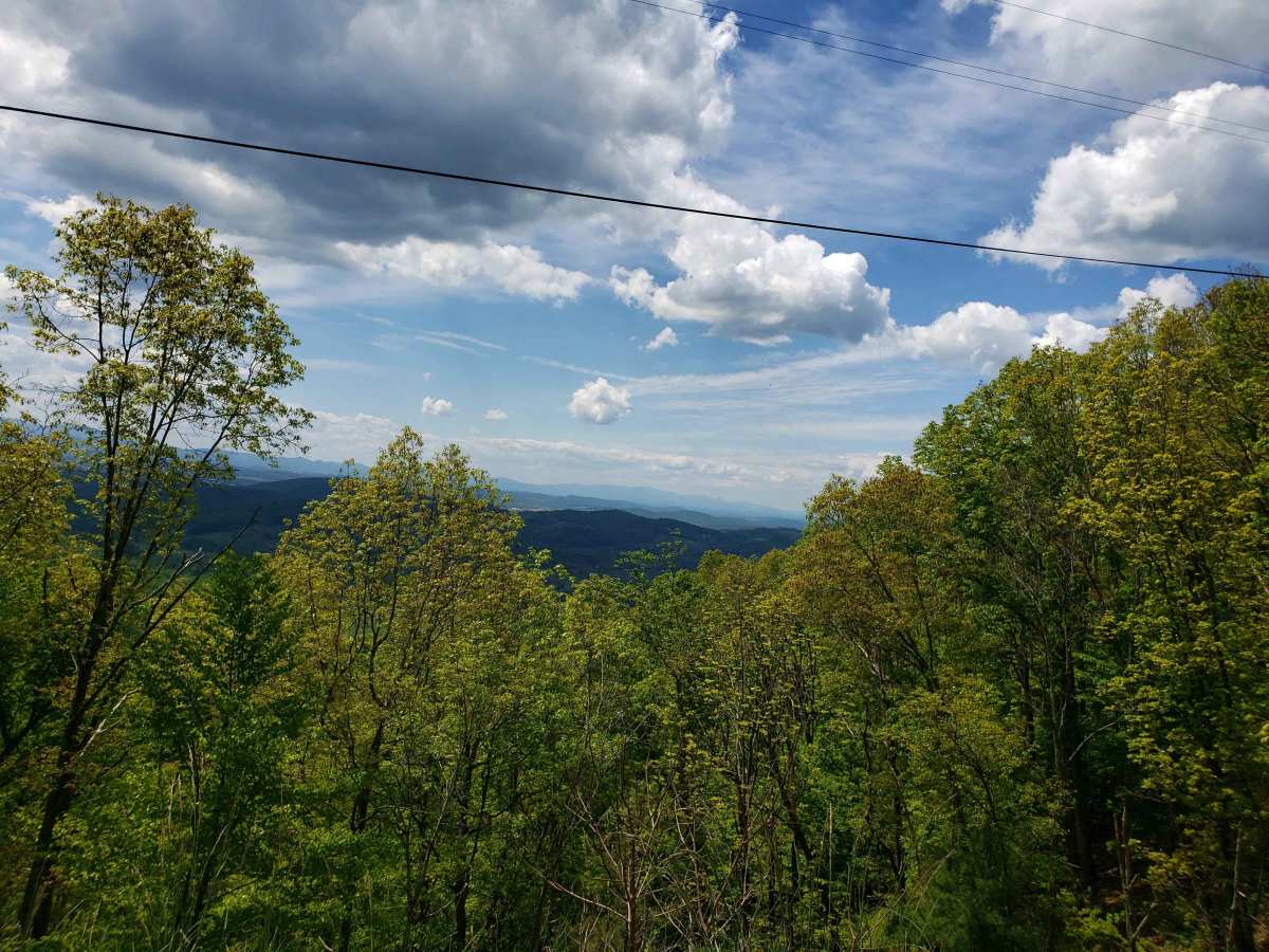 Little North Mountain WMA trail photo