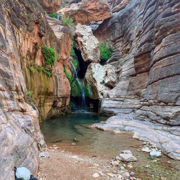 Near South Bass Trail to Elves Chasm