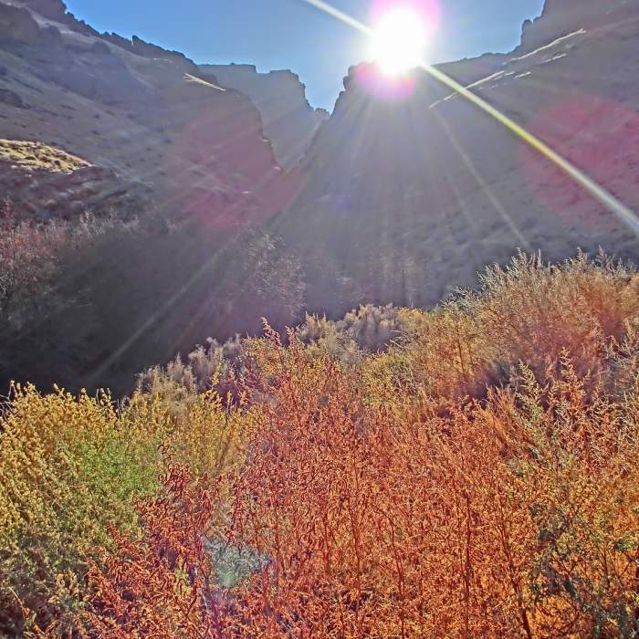 Heading to Jump Creek Falls. Near Jump Creek Falls