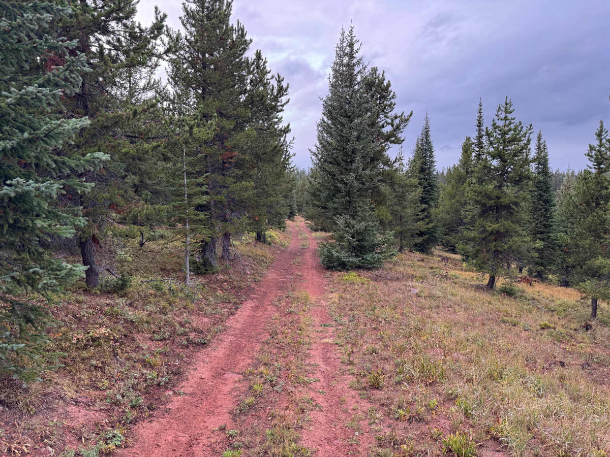 Little Woody Road photo 5