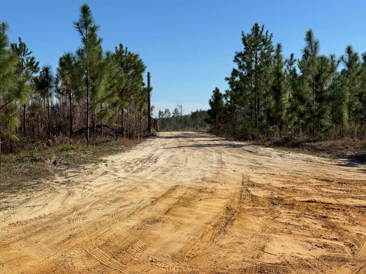 Canal Branch Road trail photo