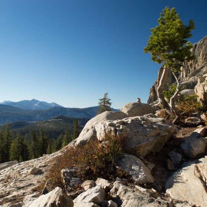 Near Mount Hoffmann Hike