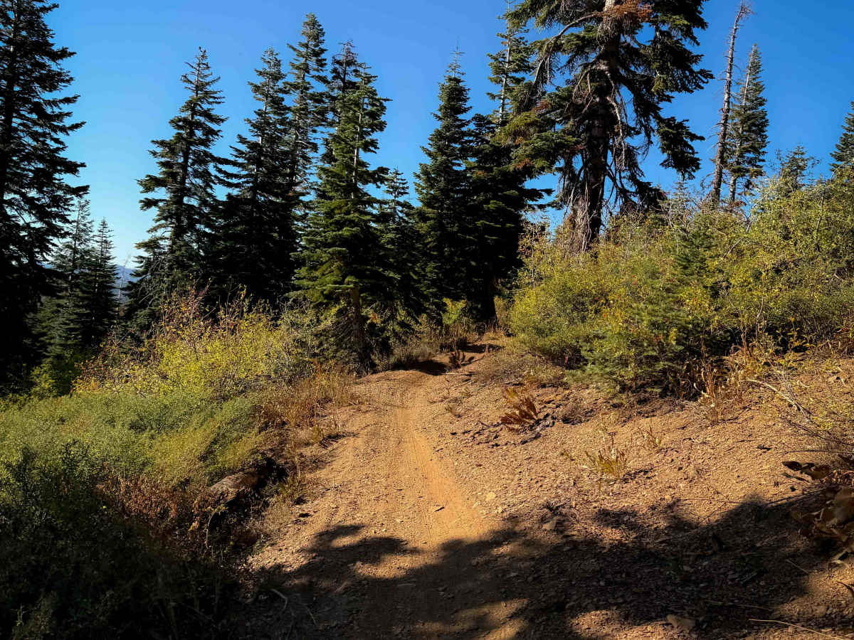 Pack Saddle Loop  photo 6