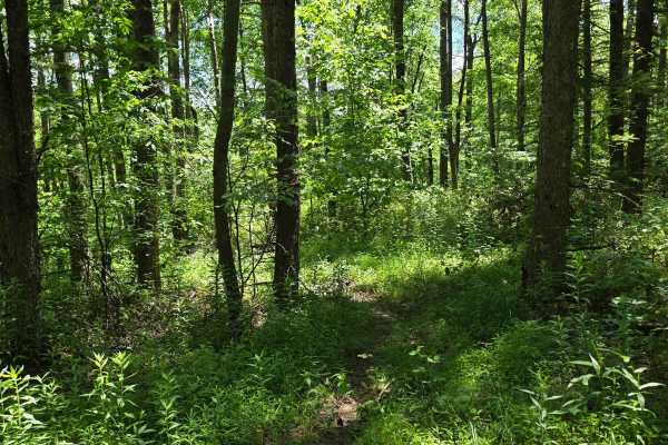 Single Track GG1