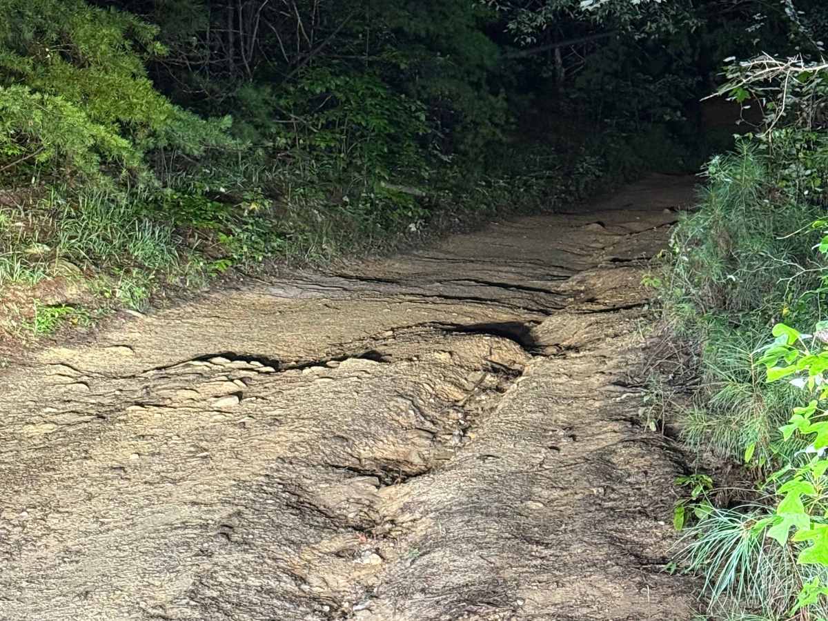 Treat Mountain / County Road 202 photo 3