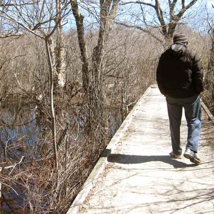 Near Crane Beach Loop Near Crane Beach Loop