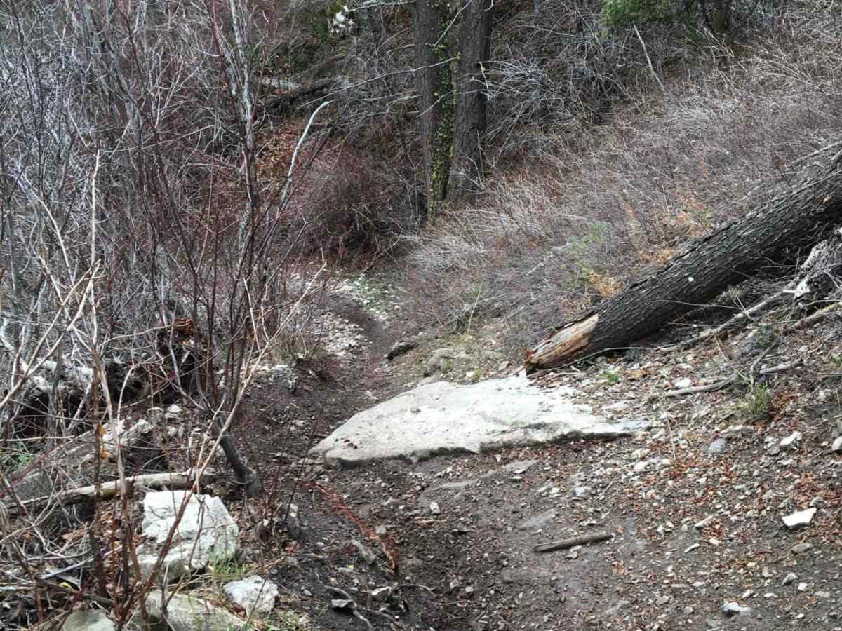 Burns Creek, Hell Hole, and Coalmine Access trail photo